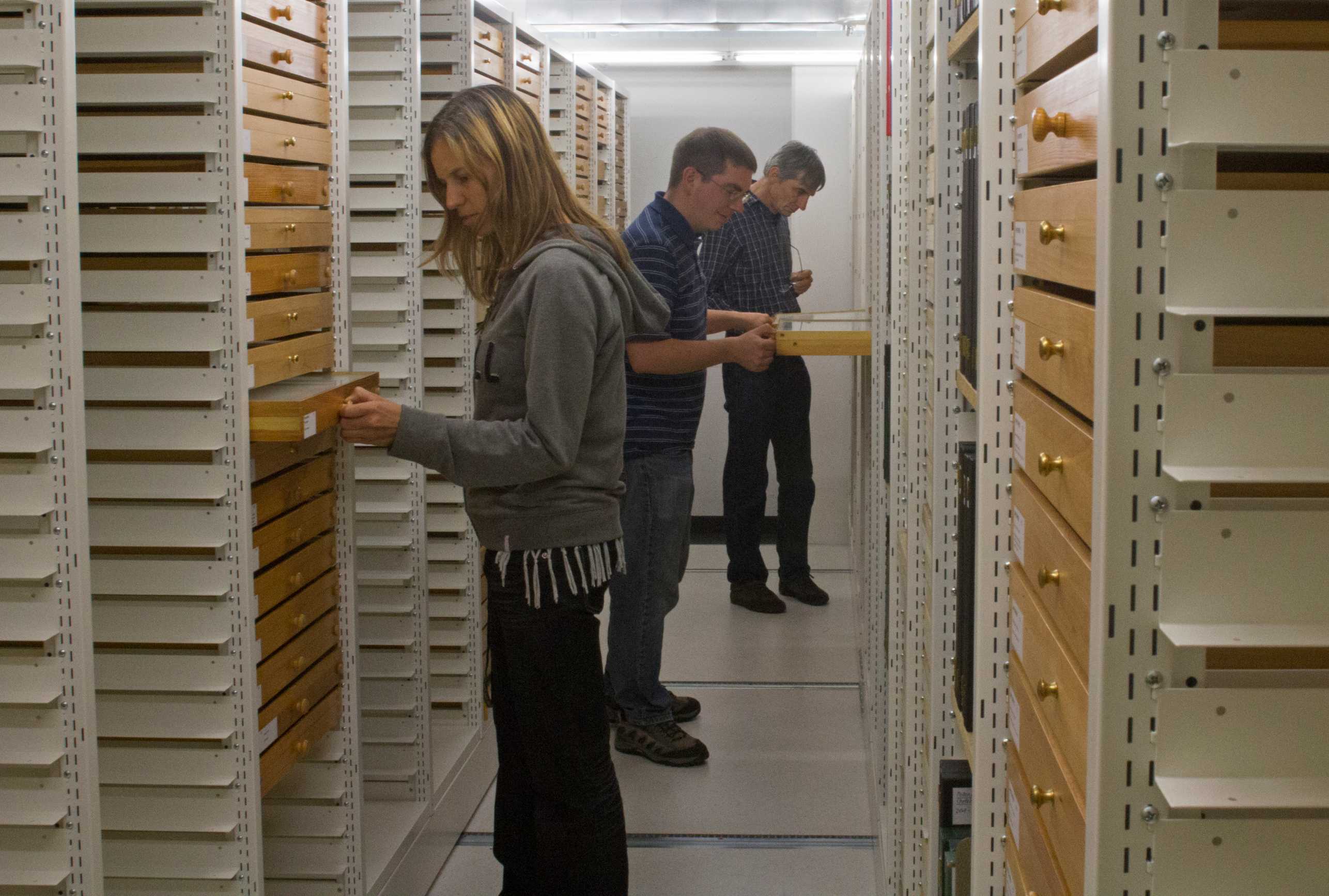 Enlarged view: Drawers with insect specimens